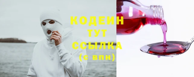 амф Касимов