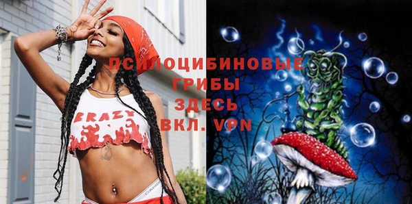 индика Киренск