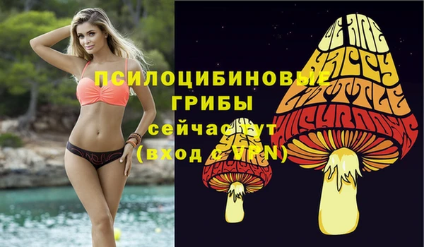 прущая мука Кинешма
