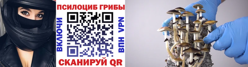 Купить  Ельня  Галлюциногенные грибы ЛСД 
